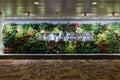 Arrival sign in the airport terminal Royalty Free Stock Photo