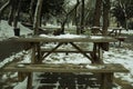 The arrival of spring, benchs and trees blooming under the snow at park