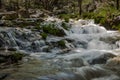 Water flows in the spring