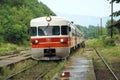 Arrival of the train at a rural railway station