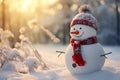 The arrival of winter is heralded by a smiling snowman on a quiet snowy day, Christmas is approaching Royalty Free Stock Photo