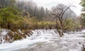 Arrow bamboo lake with running stream with foggy back ground mountain in Jiuzhaigou National Park, China Royalty Free Stock Photo