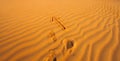 Arrow in the desert sand pointing forward