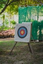 Arrow hit goal ring in archery target Royalty Free Stock Photo