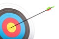 Arrow hit goal ring in archery target Royalty Free Stock Photo