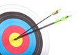 Arrow hit goal ring in archery target Royalty Free Stock Photo