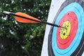 Arrow hit target in center. Royalty Free Stock Photo