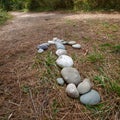 The arrow, laid out with stones in the forest, shows the direction of movement along the path Royalty Free Stock Photo