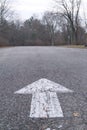 Arrow on pavement pointing into forest