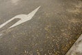 Arrow on the road with dried leaves, concept of business vision, focus on key topics that are ignored. Royalty Free Stock Photo