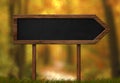 Arrow shaped blackboard sign autumn forest background