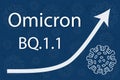 A new coronavirus variant BQ.1.1, sublineage of Omicron BA.5.