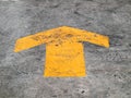 Arrow signs as road markings Royalty Free Stock Photo