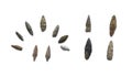 Arrowheads of primitive hunters