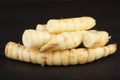 Arrowroot Royalty Free Stock Photo