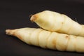 Arrowroot tuber Royalty Free Stock Photo