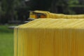 Hanoi, Vietnam,: arrowroot vermicelli- a special Vietnamese noodles are being dried on bamboo fences going along