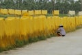 Hanoi, Vietnam,: arrowroot vermicelli- a special Vietnamese noodles are being dried on bamboo fences going along