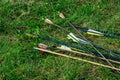 Arrows for archery lying on the grass Royalty Free Stock Photo