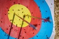 Arrows in archery target Royalty Free Stock Photo