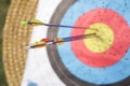 Arrows in archery target Royalty Free Stock Photo