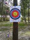 Arrows in archery target on the tree Royalty Free Stock Photo