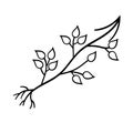 Arrow with leaves. Vector illustration in Doodle style. Isolated object on a white background. Royalty Free Stock Photo