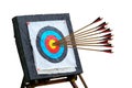 Arrows Hitting The Center Of Target isolated on white Success Business Concept conceptual Royalty Free Stock Photo