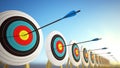 Arrows hitting the centers of targets - success business concept