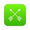 Arrows LGBT icon digital green