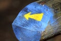 Arrows marking the hiking trail spring on a tree. Lithuania