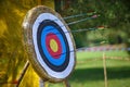 Arrows missed target. concept of fail-diligent Royalty Free Stock Photo