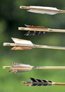 Arrows nock detail on green background Royalty Free Stock Photo