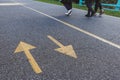 Arrows road sign painted with yellow paint on asphalt on bike path