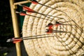 Arrows in straw target disc during leisure time hobby archery at outdoor shooting range Royalty Free Stock Photo