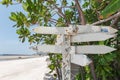 Arrows wooden signboard on the beach with green plant