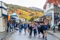 Arrowtown Autumn Festival on Buckingham Street. Royalty Free Stock Photo