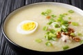 Arroz Caldo rice soup with chicken, garlic, onion and egg close-up. horizontal