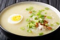 Arroz Caldo soup with rice, chicken and egg close-up. horizontal Royalty Free Stock Photo