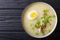 Arroz Caldo soup with rice, chicken and egg close-up. horizontal Royalty Free Stock Photo