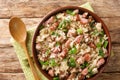 Arroz carreteiro is a hearty rice and meat dish close up in the bowl. Horizontal top view