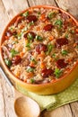 Arroz de Pato Portuguese Style Duck Rice with onion, carrot and chorizo close up in the baking dish. Vertical Royalty Free Stock Photo