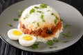 Arroz tapado is a Peruvian dish it is made with rice, vegetables, ground beef and boiled eggs close up in the plate. Horizontal Royalty Free Stock Photo