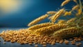 ars of wheat on a blue background. Harvest concept. Ukrainian grain crisis