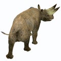 Arsinoitherium Mammal Tail