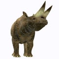 Arsinoitherium Mammal on White