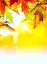 Art abstract autumn background Royalty Free Stock Photo