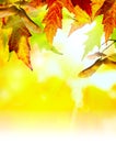 Art abstract autumn background Royalty Free Stock Photo