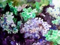 Watercolor art background colorful summer fresh flower violet white phlox creative Royalty Free Stock Photo