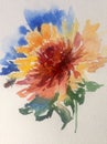Watercolor art background flower red yellow orange dahlia Royalty Free Stock Photo
